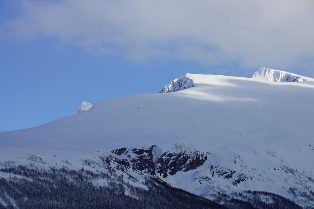 Aaroybukt Guesthouse Aroybukta ภายนอก รูปภาพ