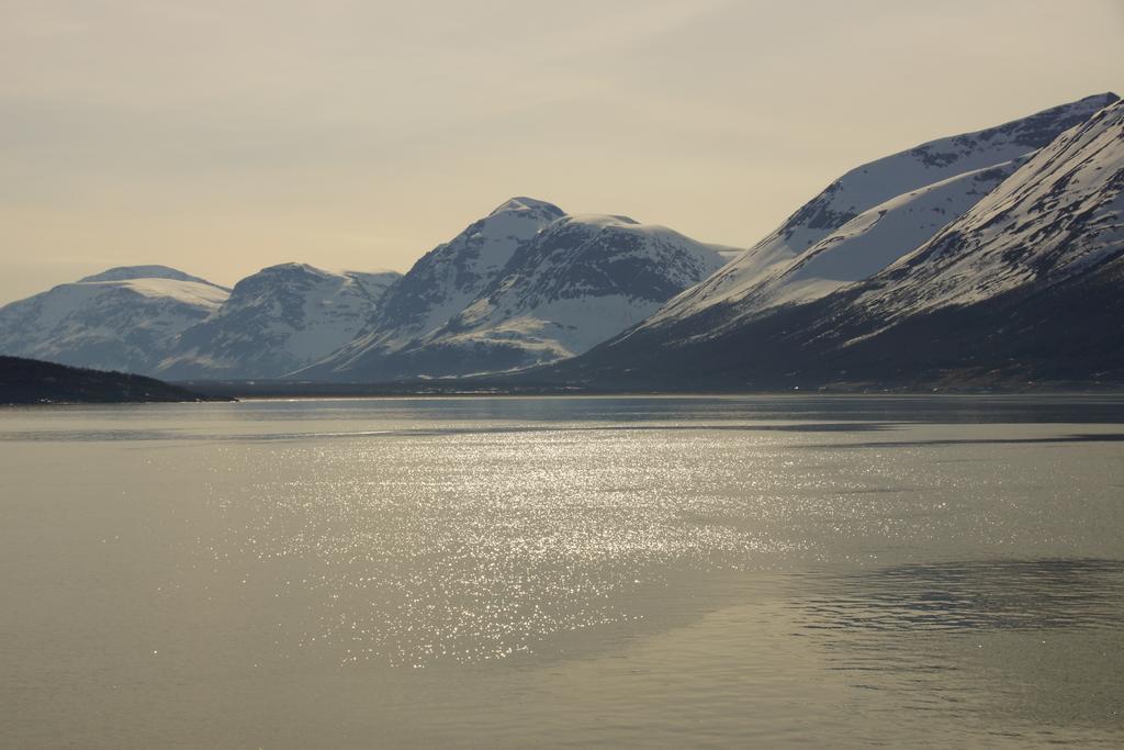 Aaroybukt Guesthouse Aroybukta ภายนอก รูปภาพ